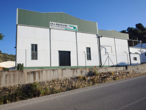 Oli-Brácana (Olive-Olives of Brá -Processing Center).